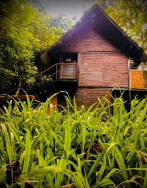 Jungle Village